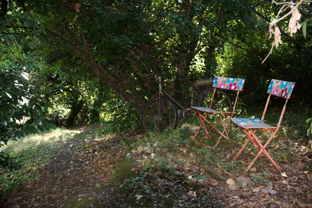 La Charentine Bed & Breakfast Echillais ภายนอก รูปภาพ